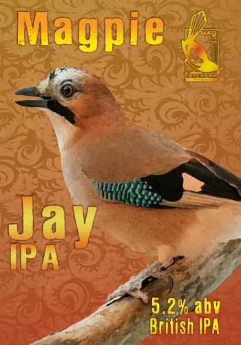 Magpie - Jay